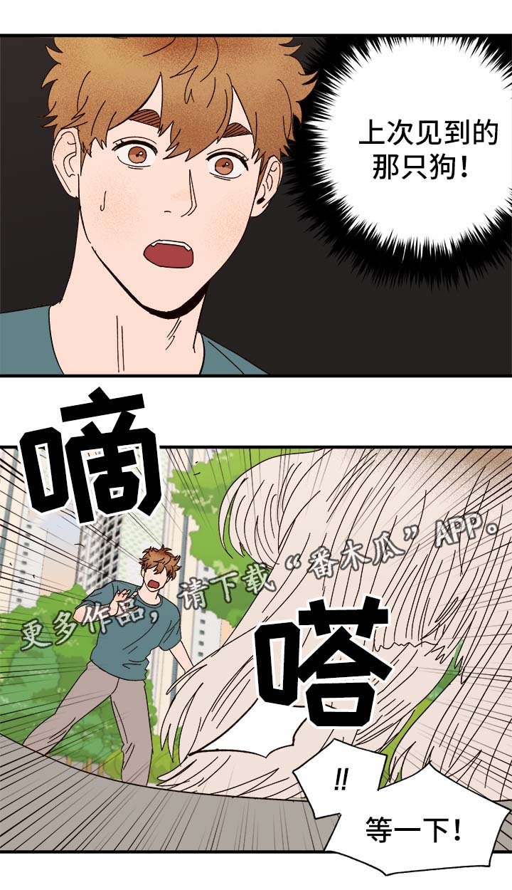 第33章：狗神6