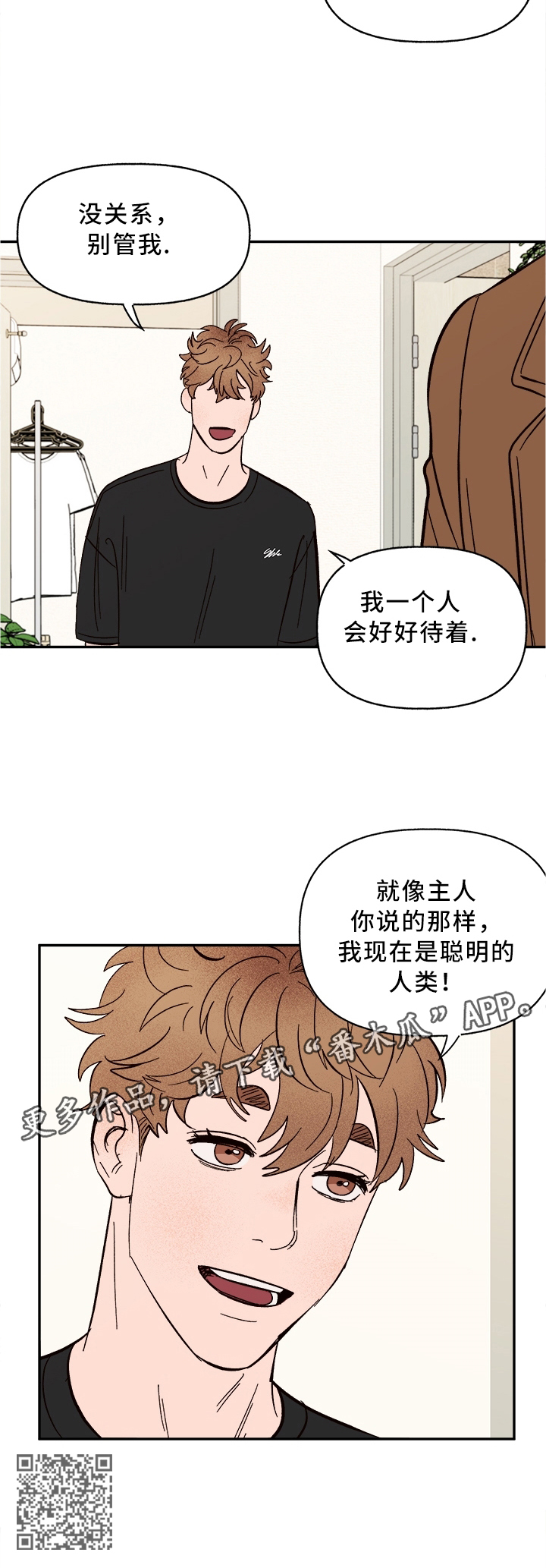 第46章：结束了6