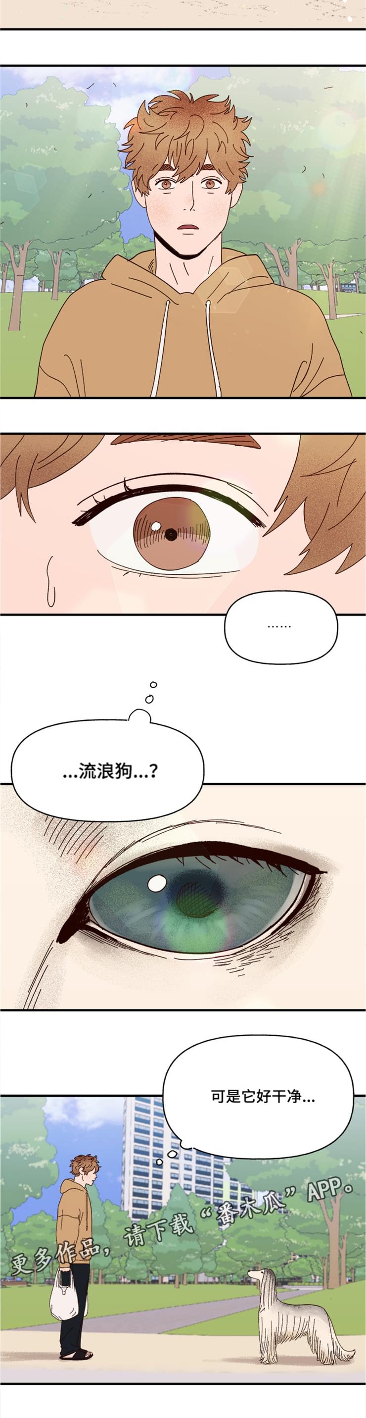 第19章：传说5
