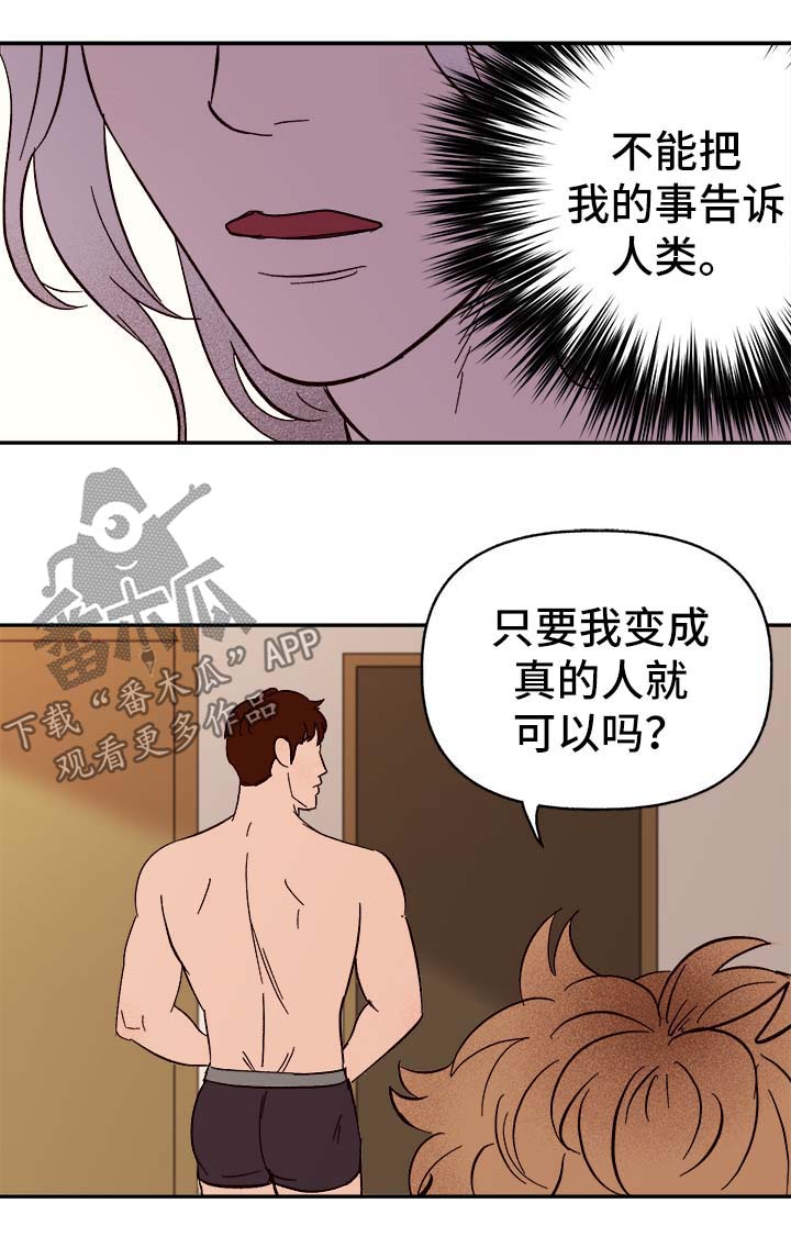 第41章：首先你是只狗6