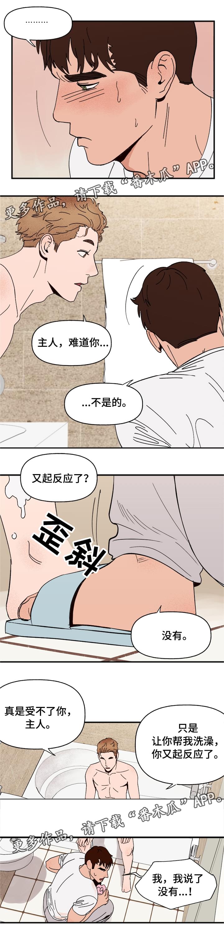 第15章：命令7
