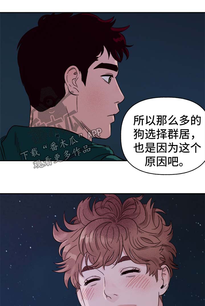 第39章：幸运20