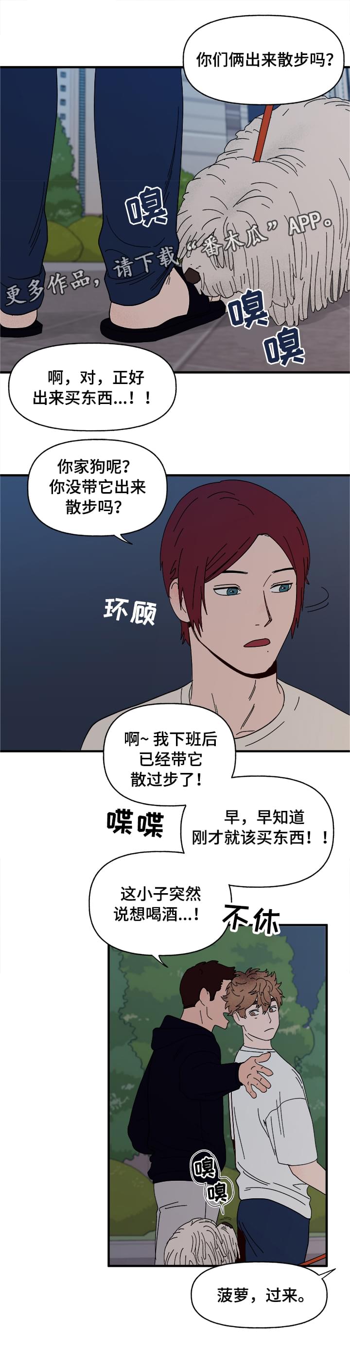 第13章：散步8