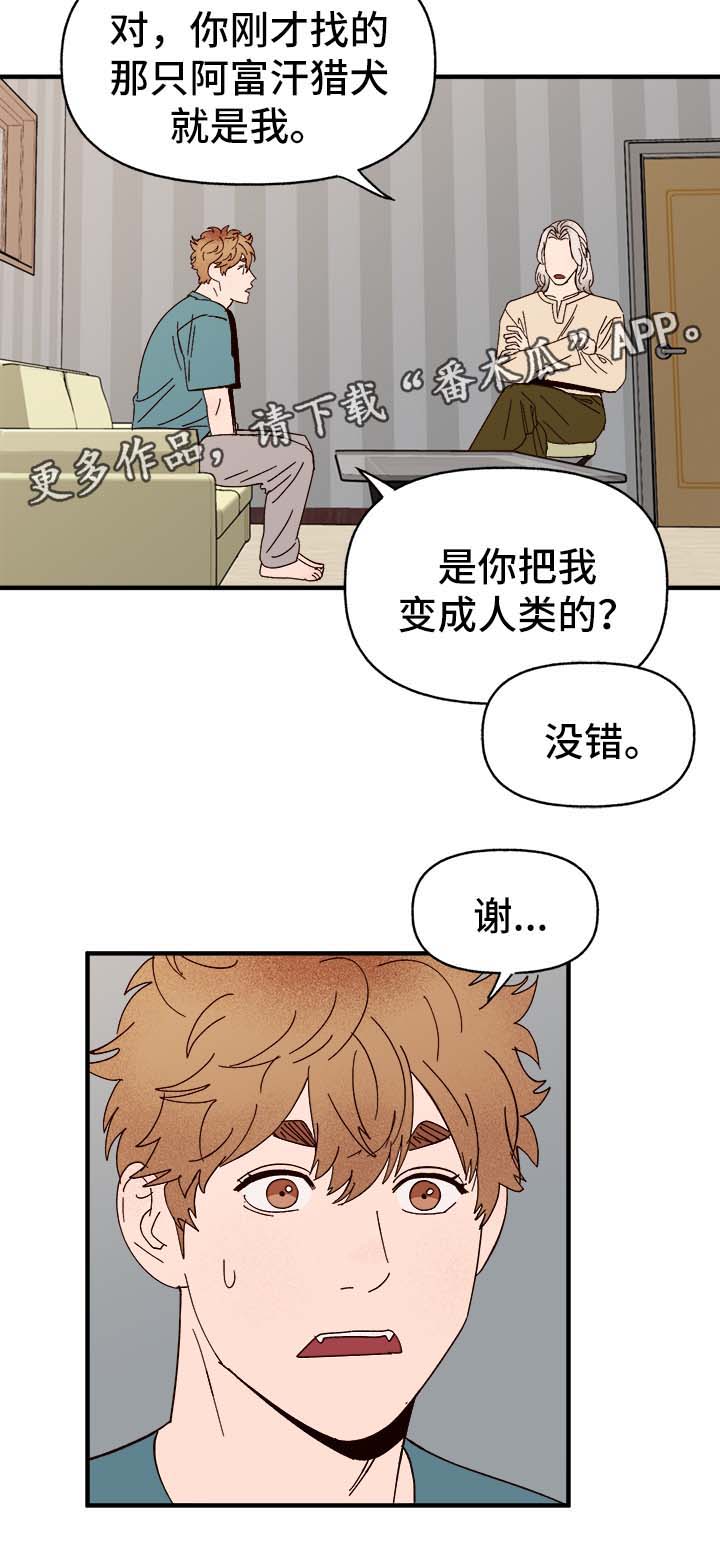 第34章：隐晦1