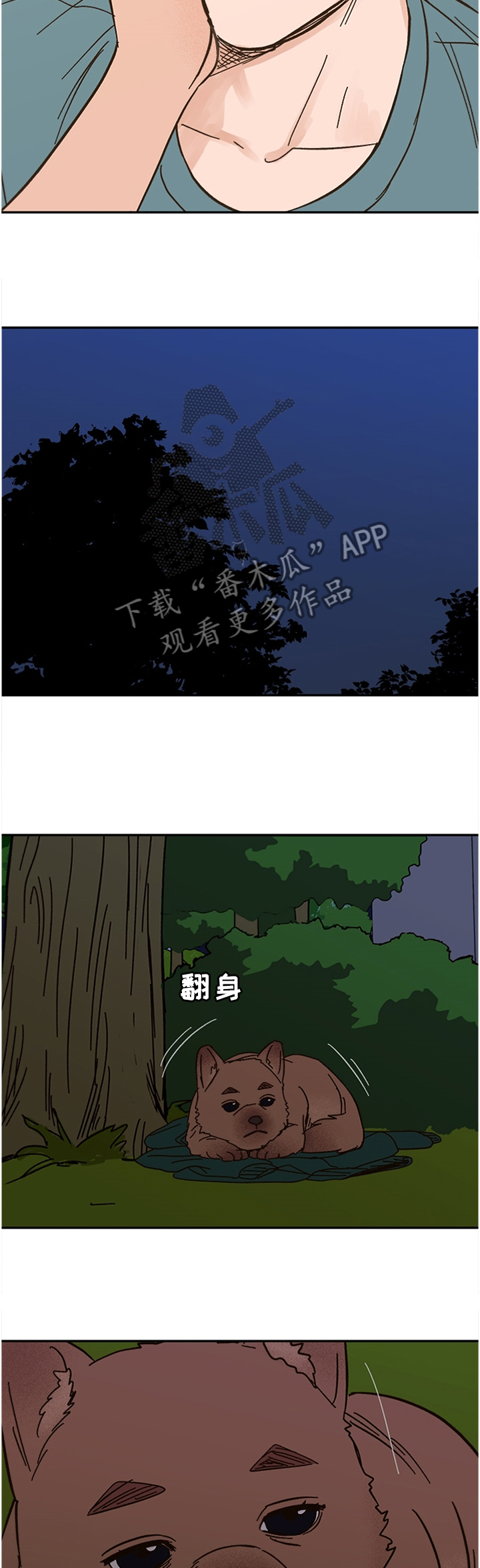 第55章：这样的结果5