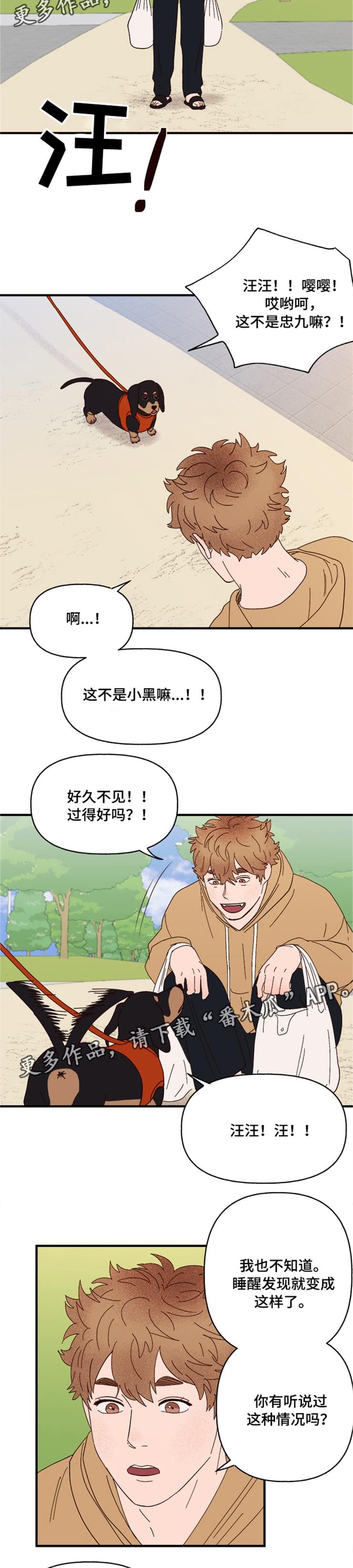 第19章：传说8