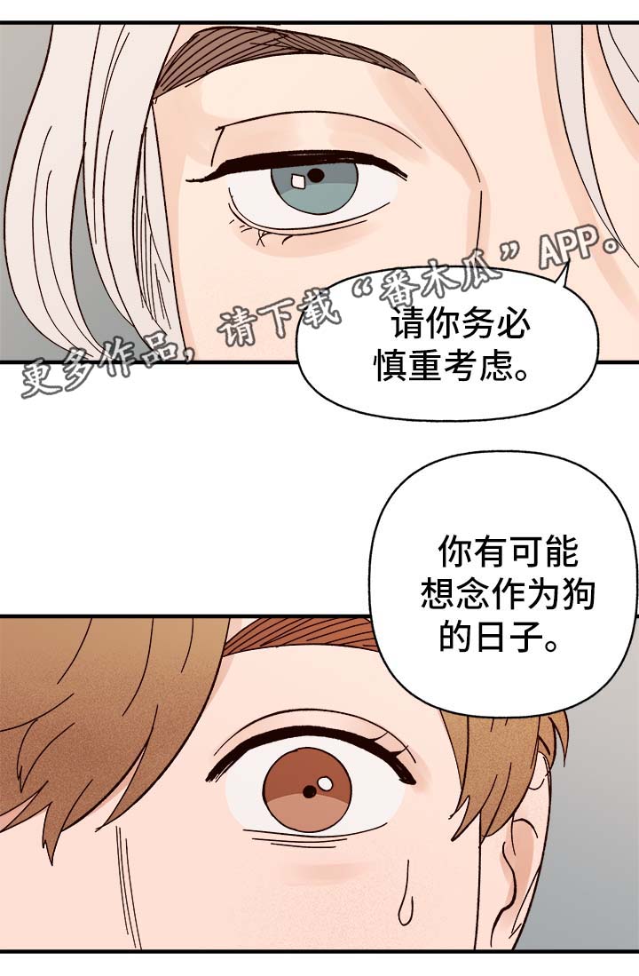 第34章：隐晦9