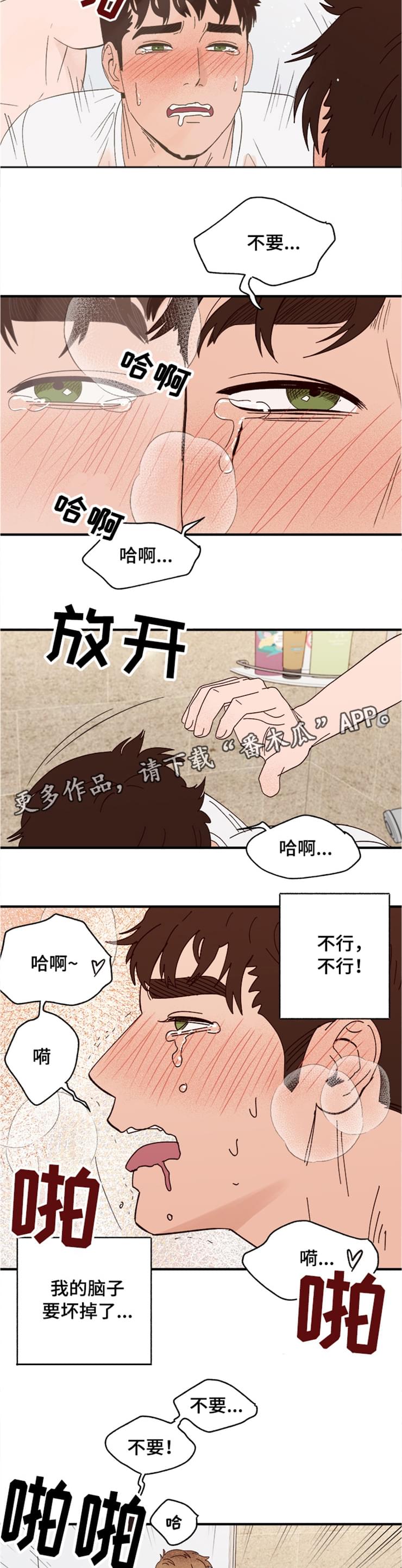 第17章：快坏掉了6