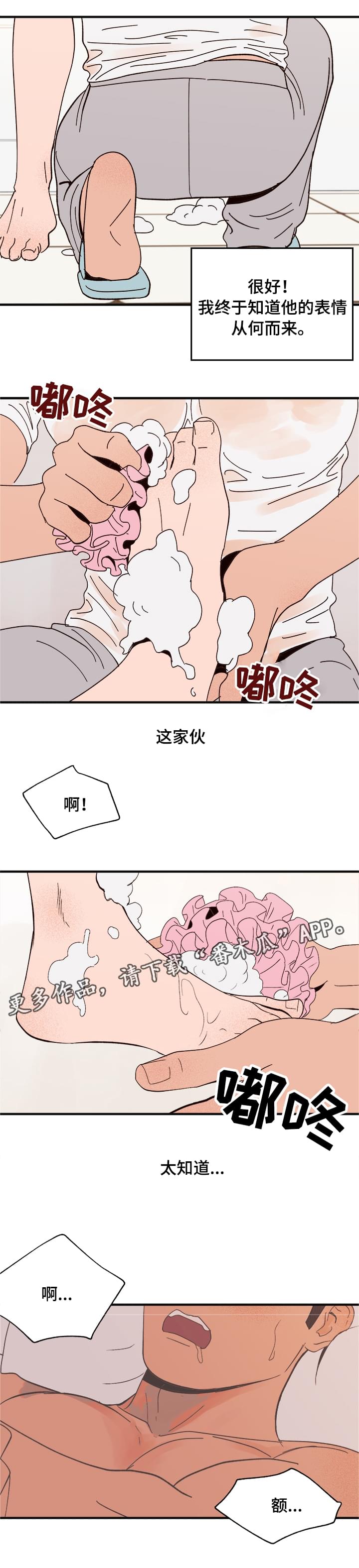 第15章：命令4