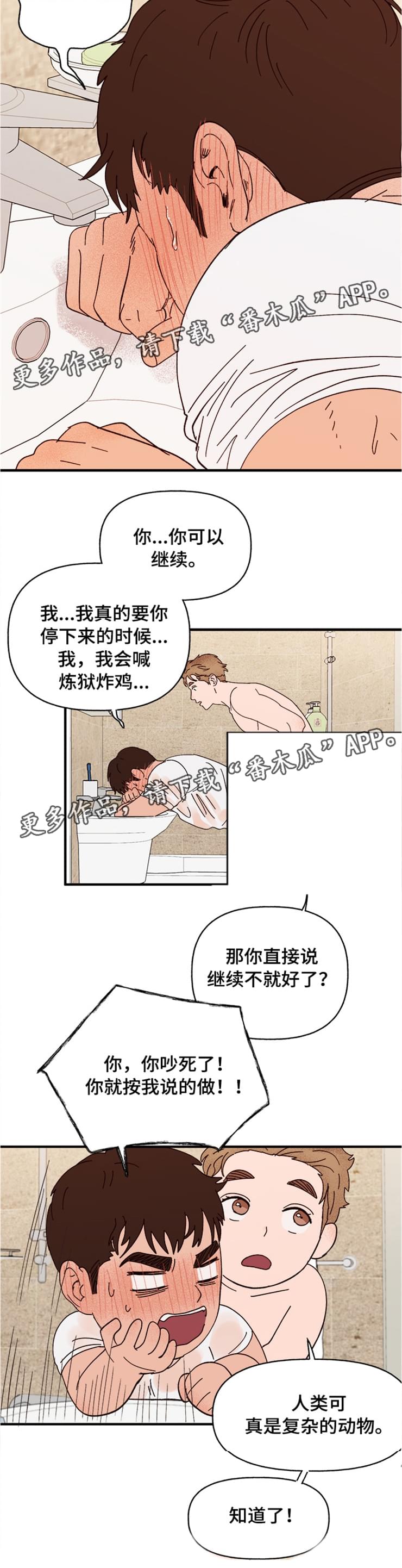 第17章：快坏掉了8