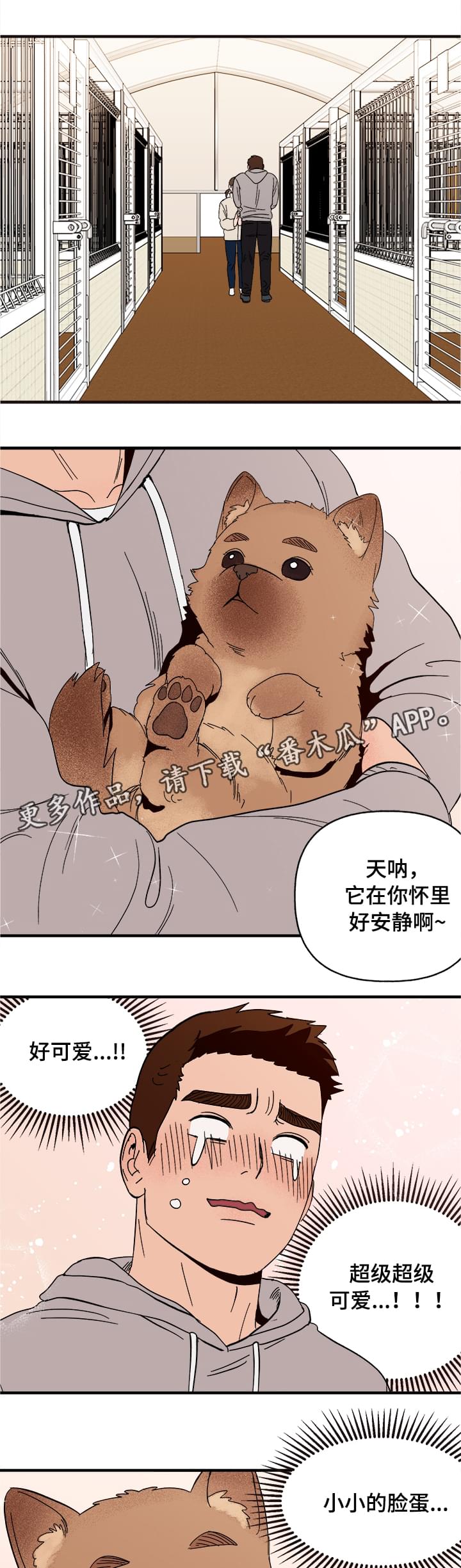 第6章：惩罚4