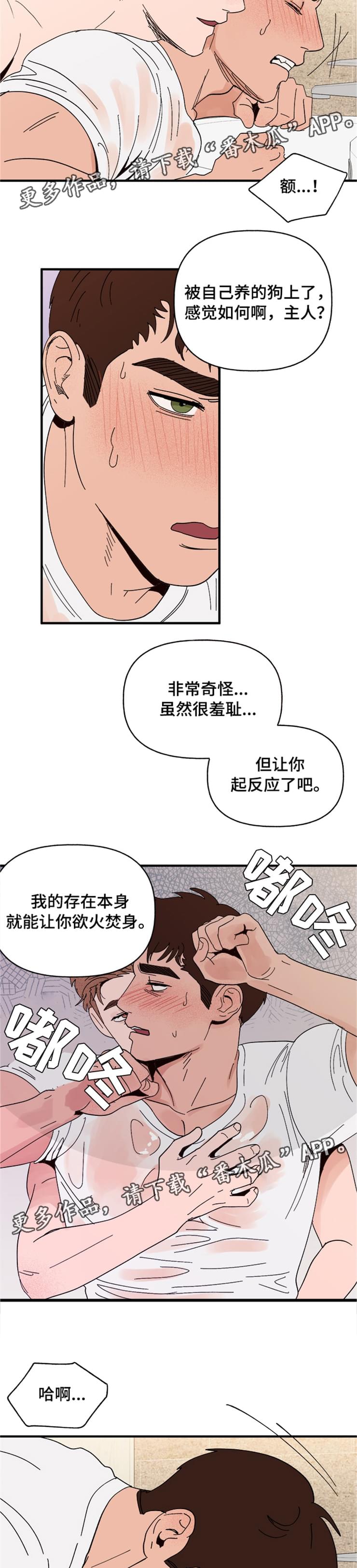 第16章：接受6