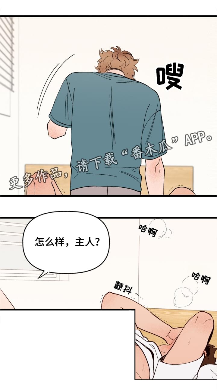 第4章：你的主人11