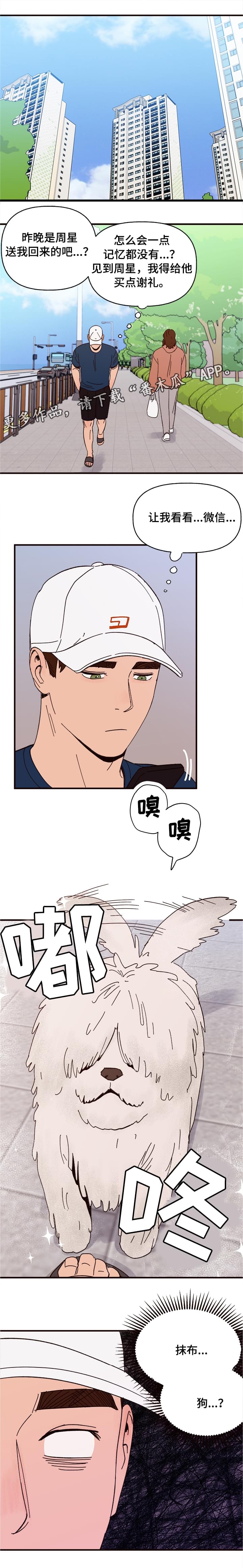 第10章：谎言5