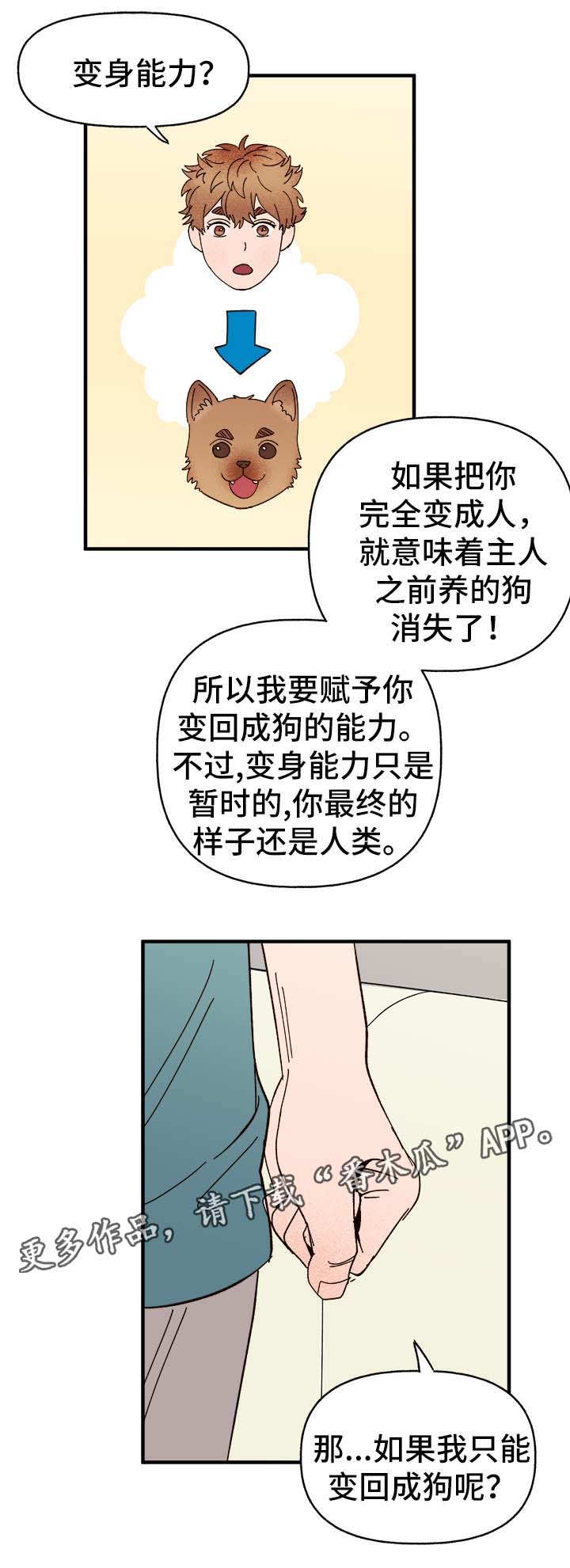 第34章：隐晦5