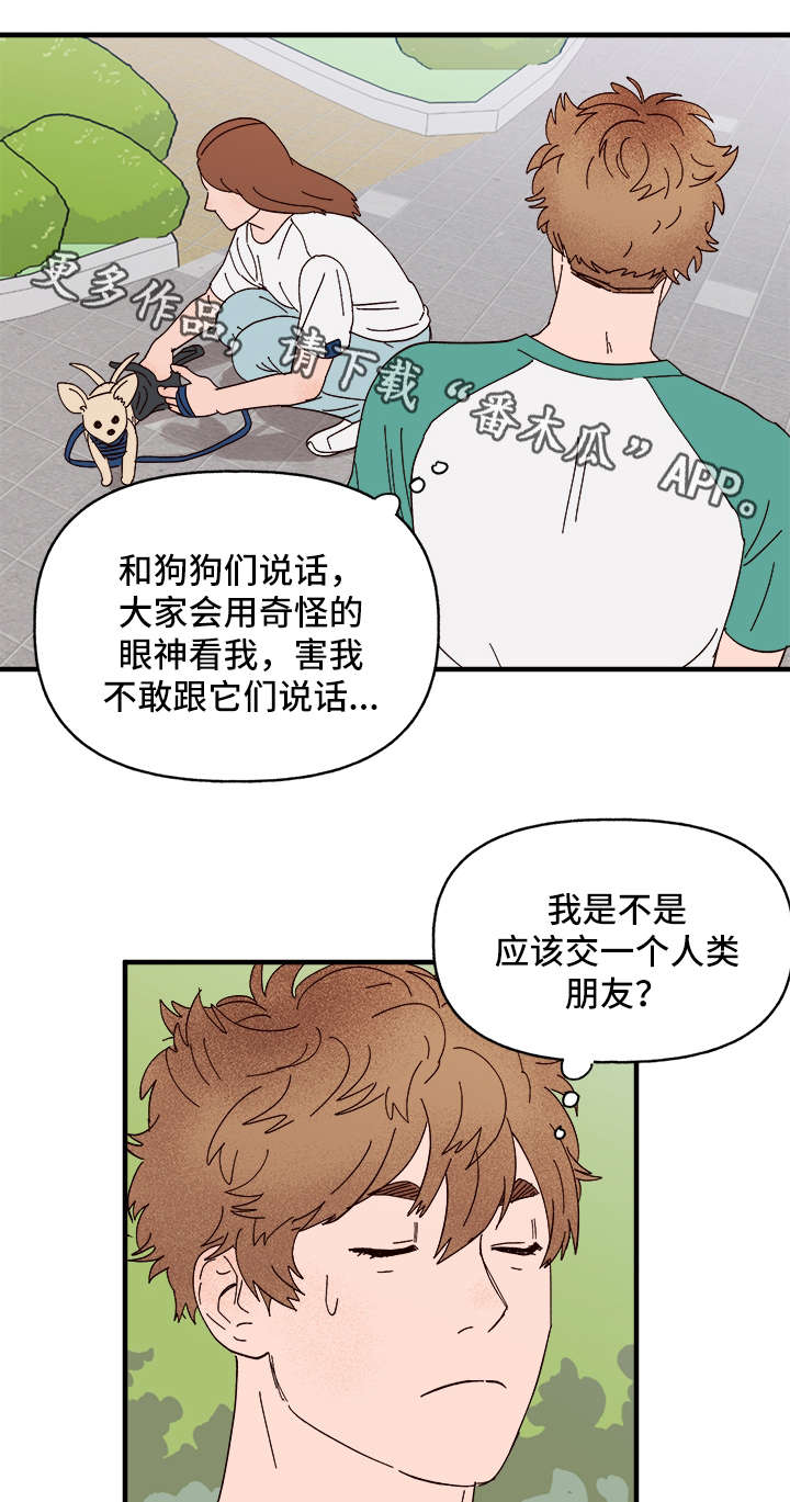 第26章：争风吃醋6