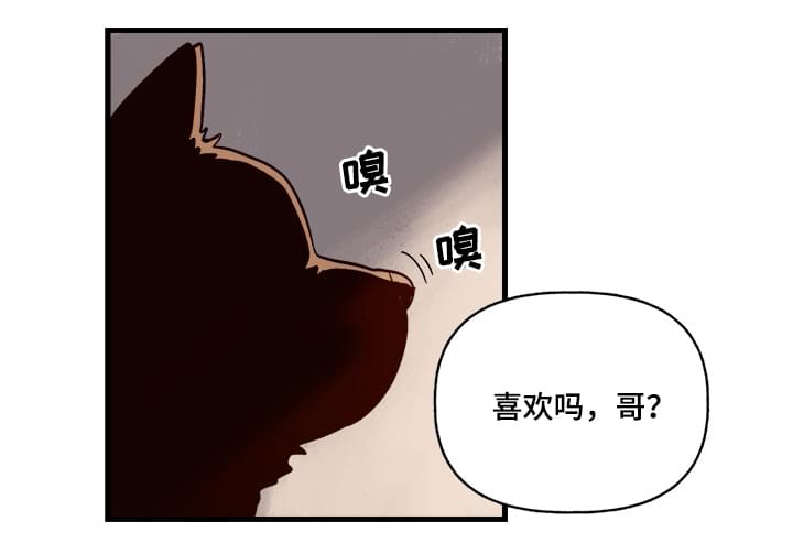 第1章：袭击10