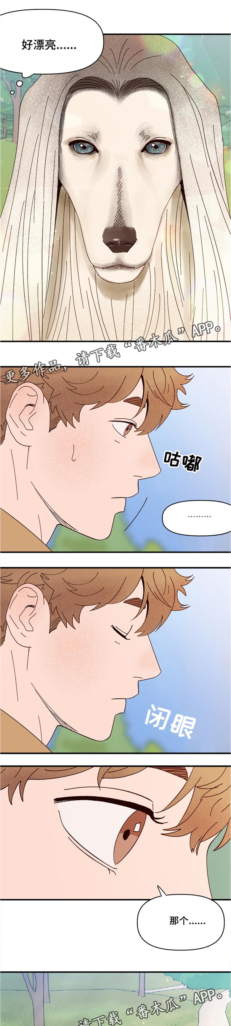 第19章：传说6