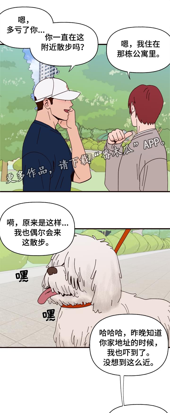 第10章：谎言8