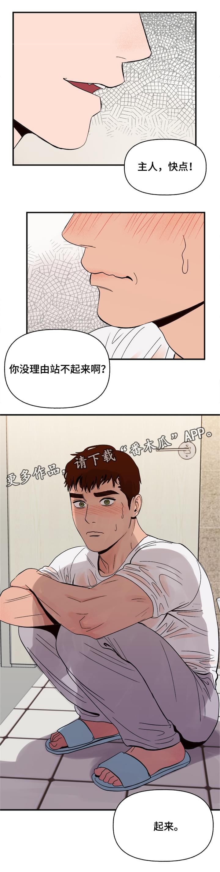 第15章：命令9