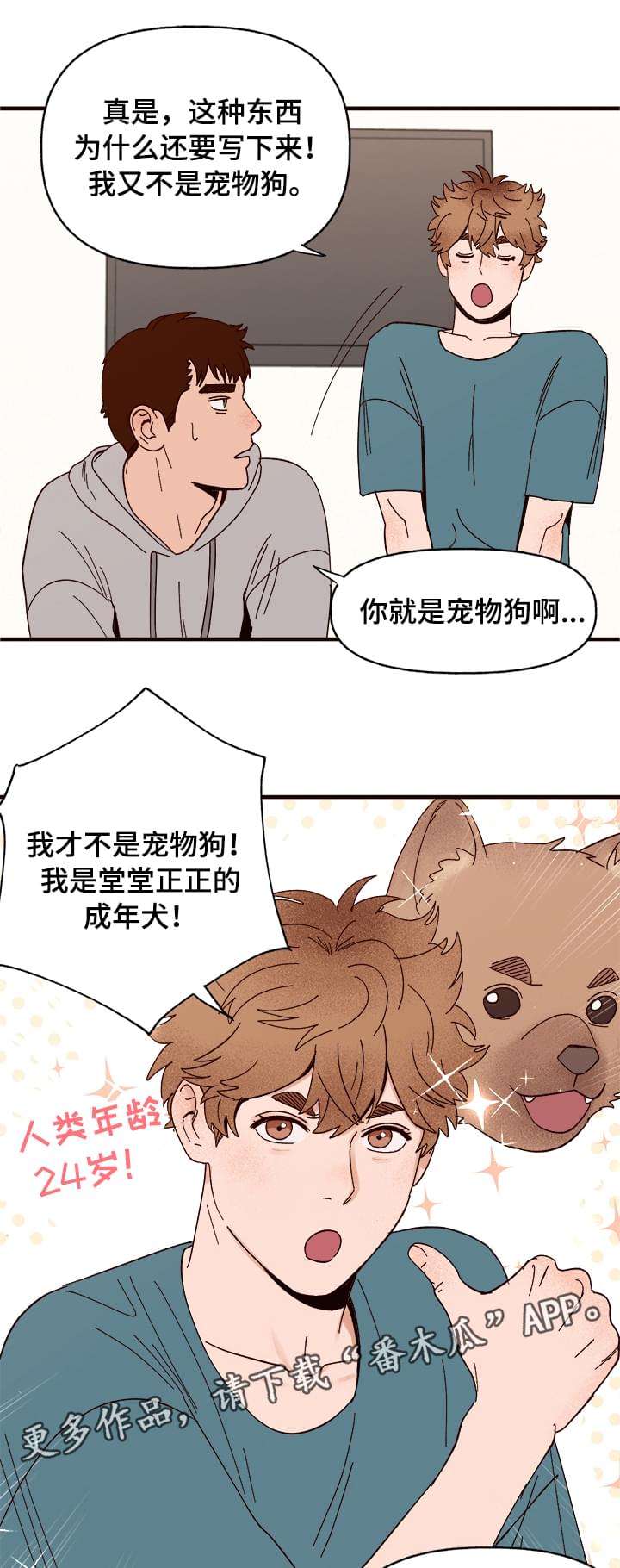 第11章：测试一下10