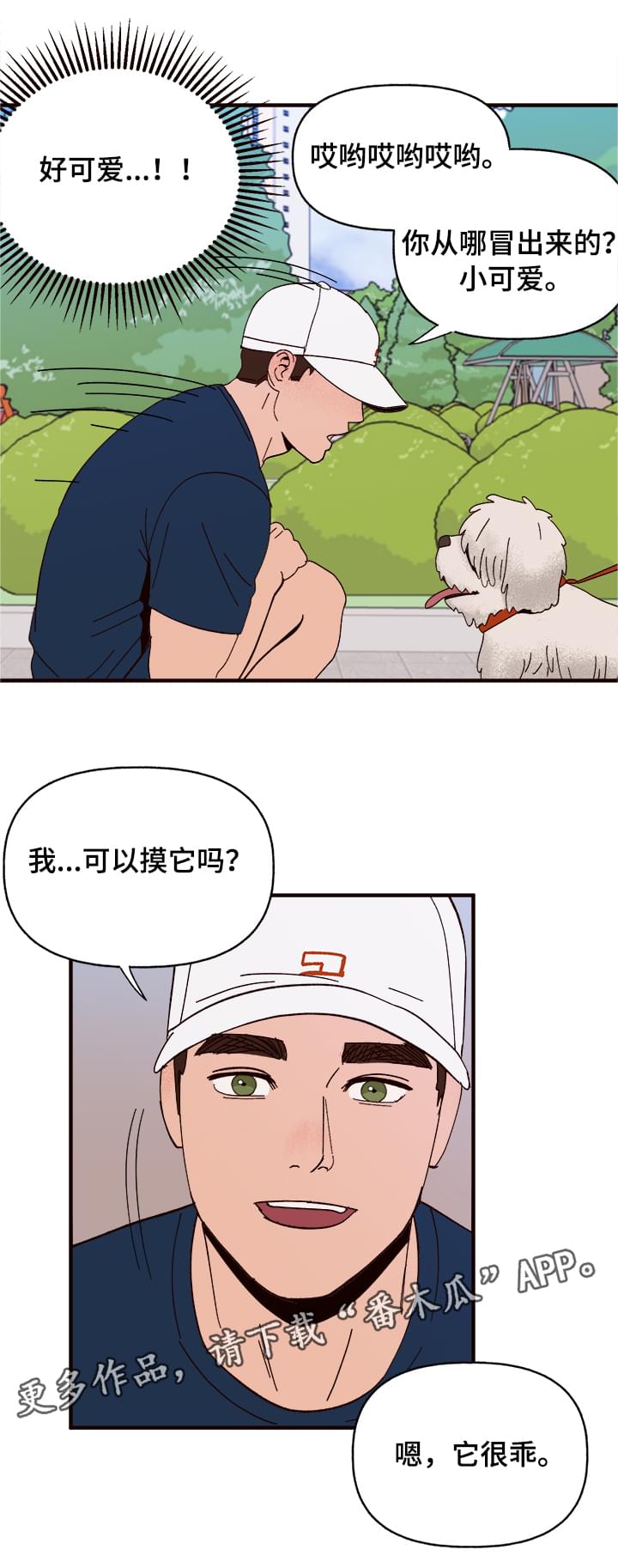 第10章：谎言6