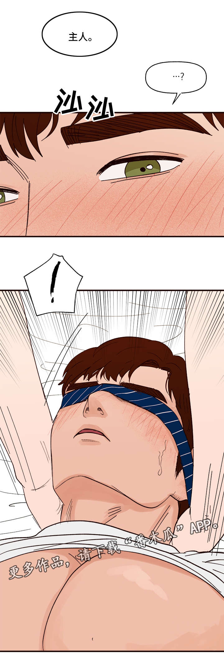 第28章：更进一步9