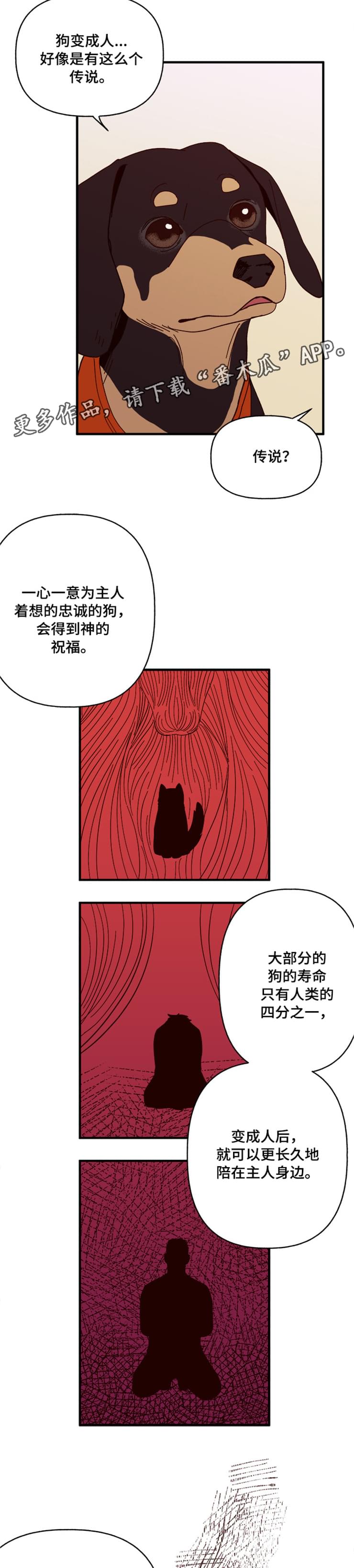 第19章：传说9