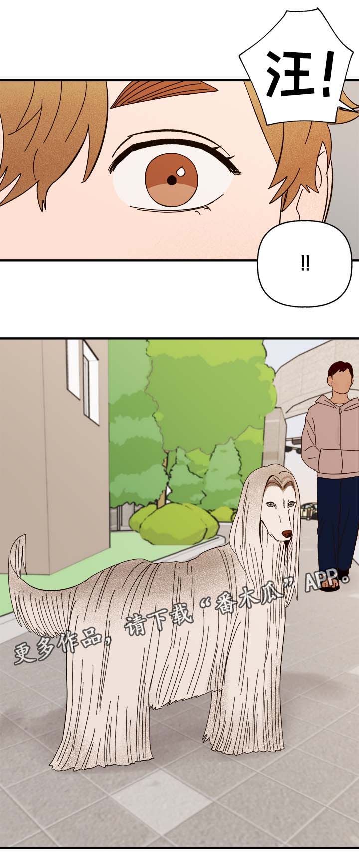 第33章：狗神5