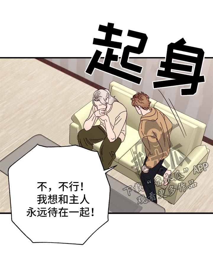 第37章：忠告17