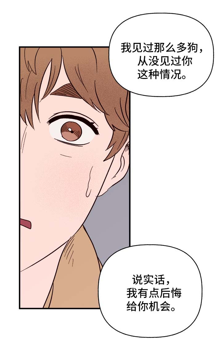 第37章：忠告16