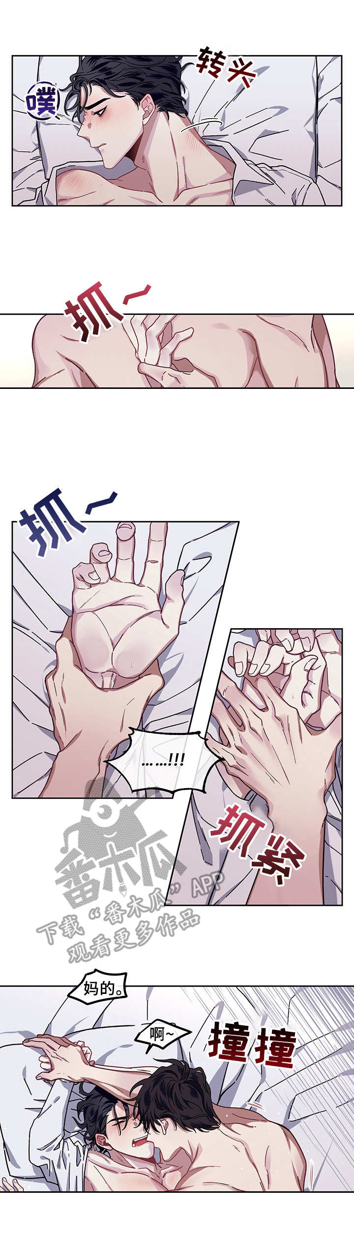 第11章：调查0