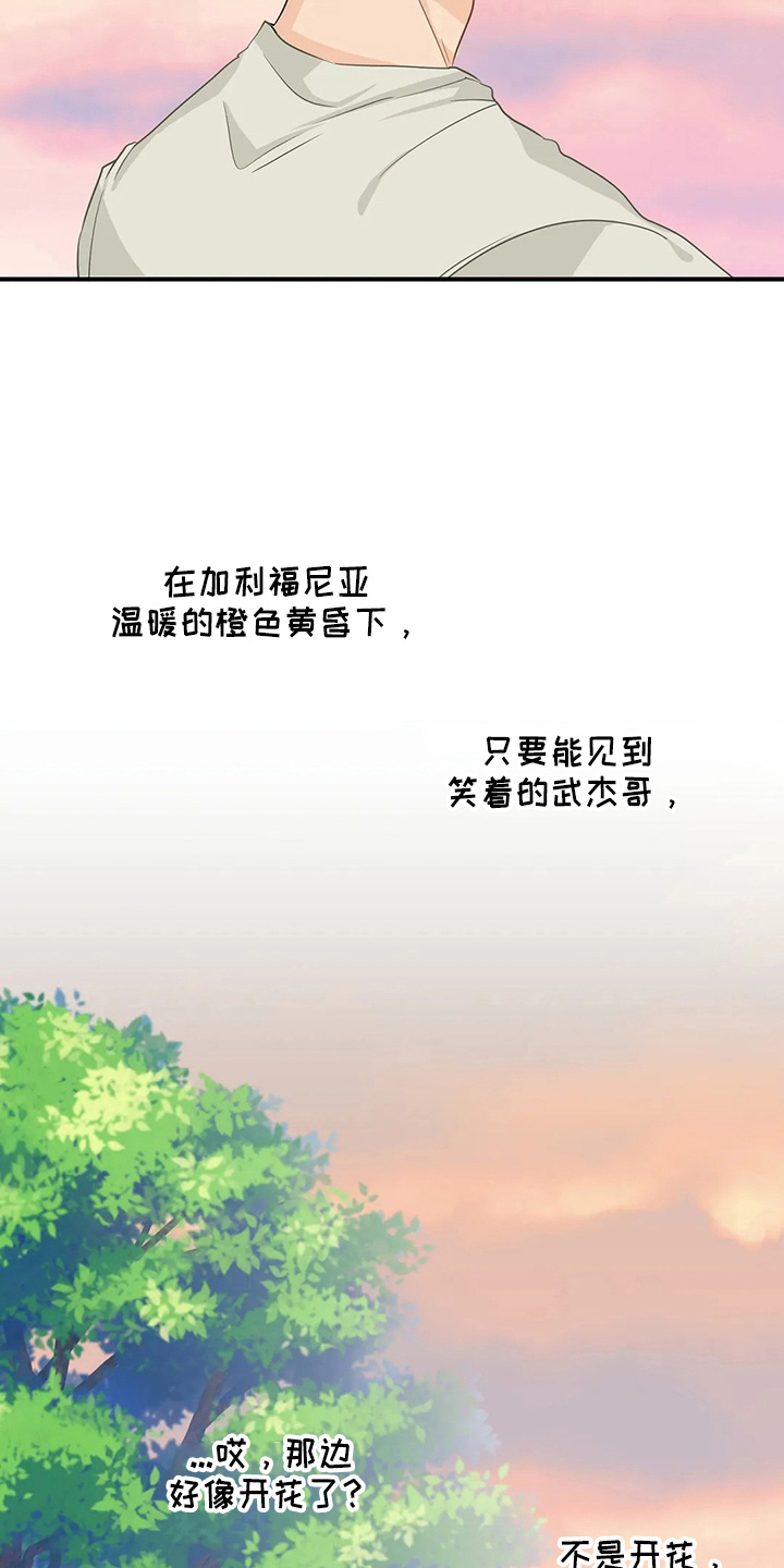 第108章：【第二季完结】很幸福25
