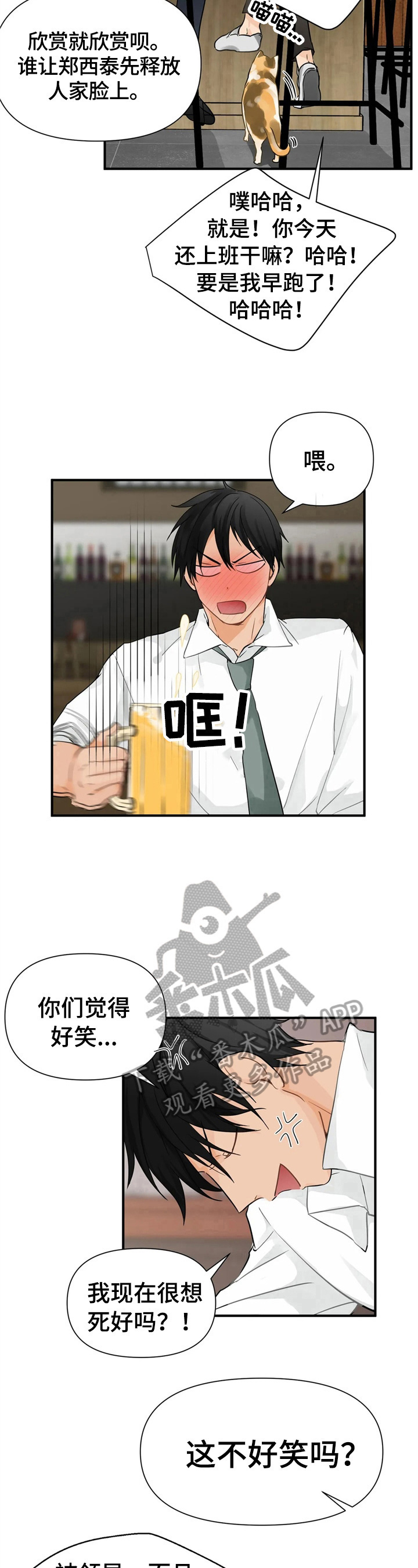 第5章：分享8