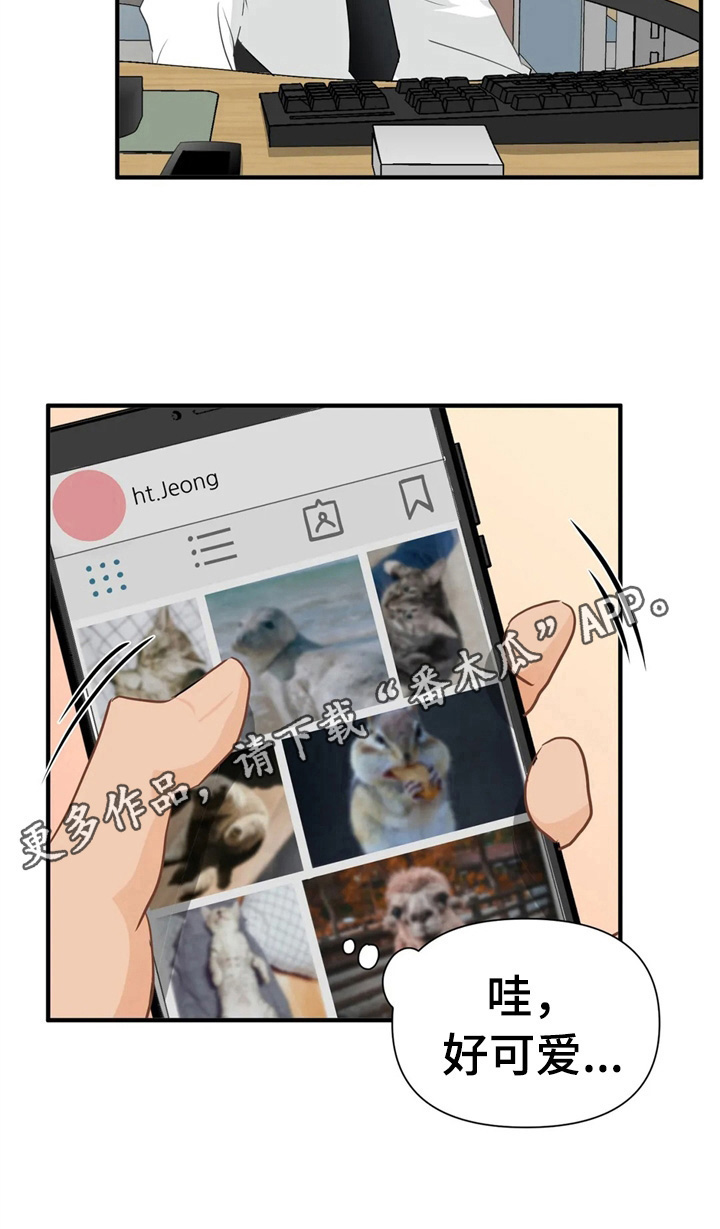 第15章：培训11