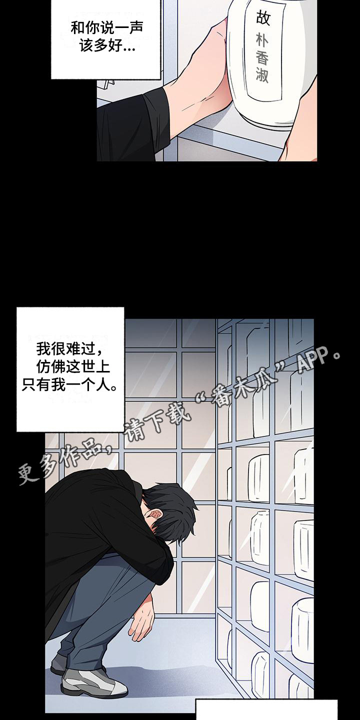 第17章：解释10