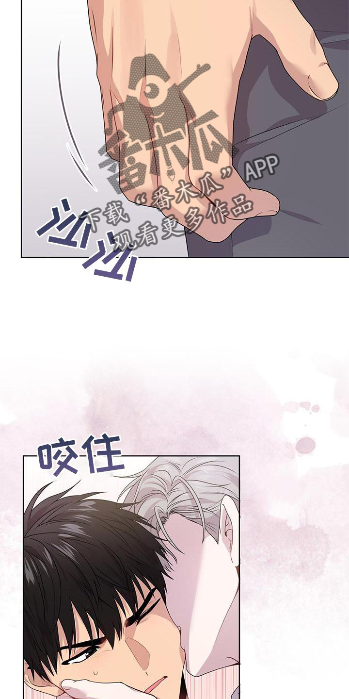 第132章：【第三季】第一个17