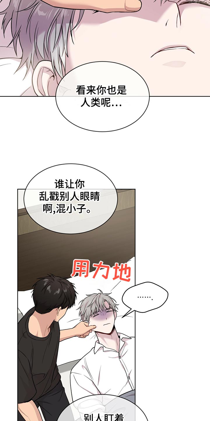 第111章：【第二季】糟心的事29