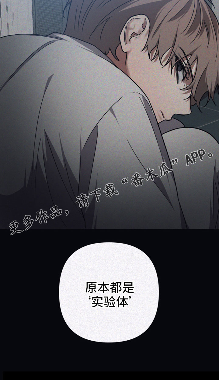 第121章：【第二季】都是实验体21