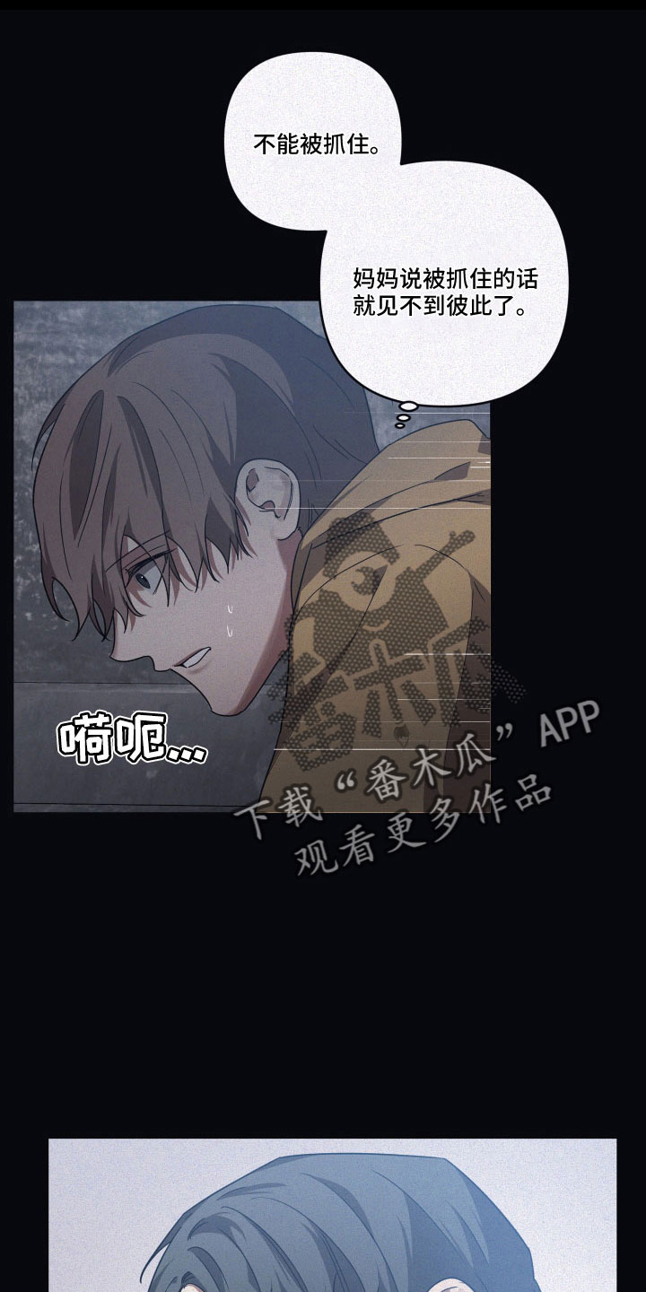 第91章：【第二季】没打算出去5