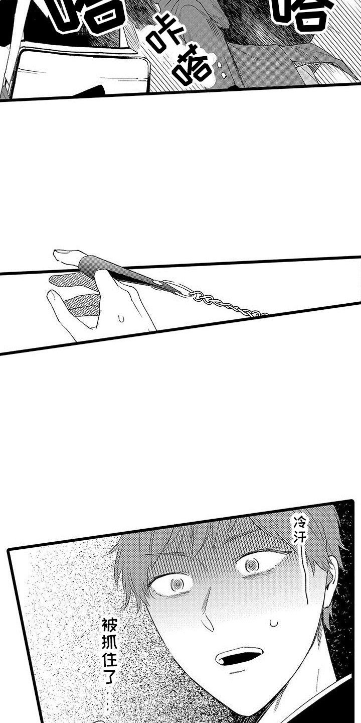 第12章：被抓住了17