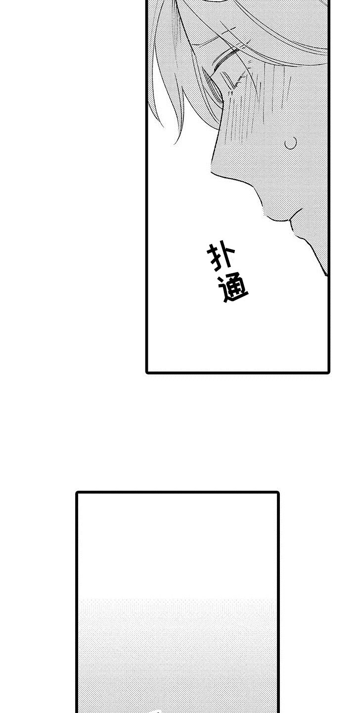 第21章：一个傻瓜14