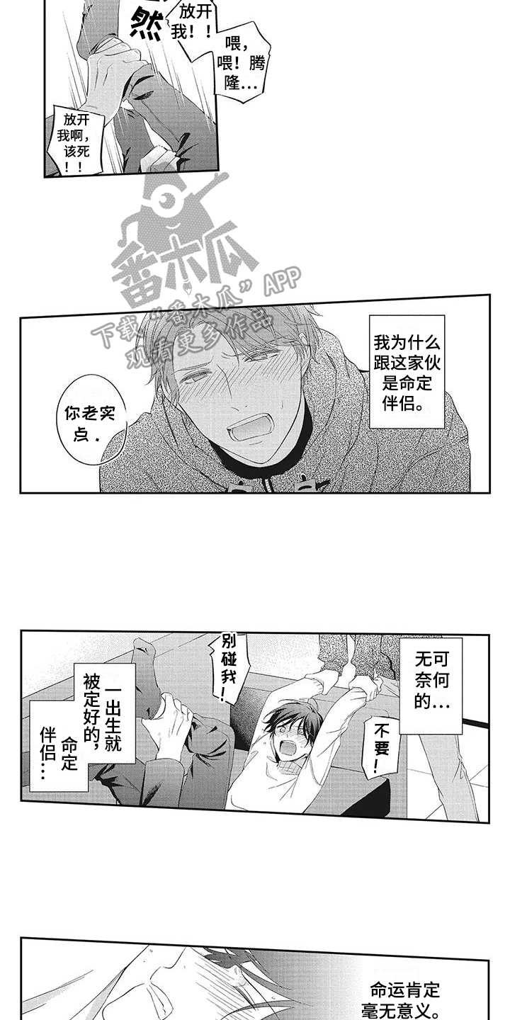 第13章：绑架6