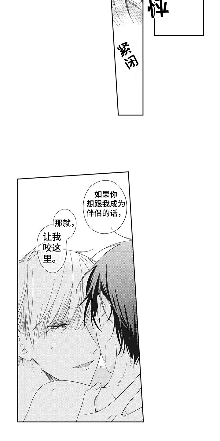 第11章：感受6