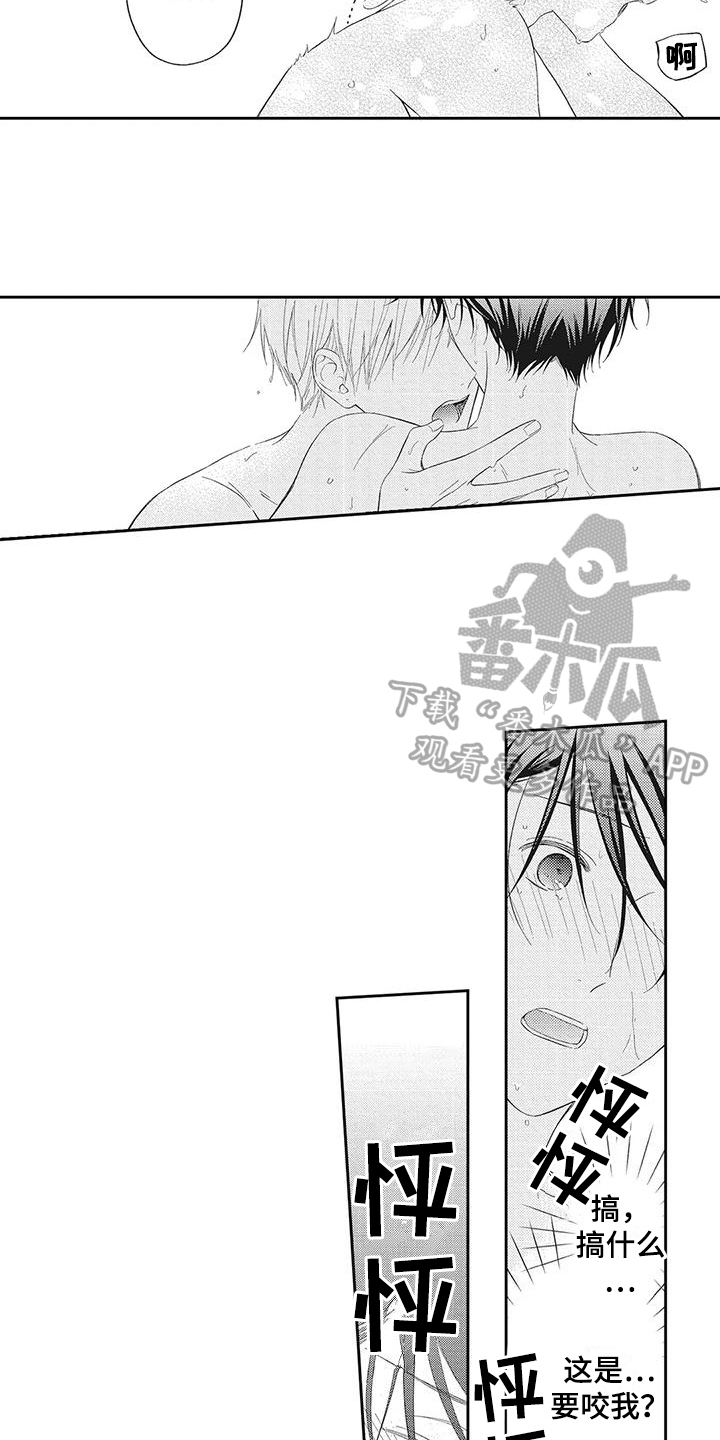 第11章：感受5
