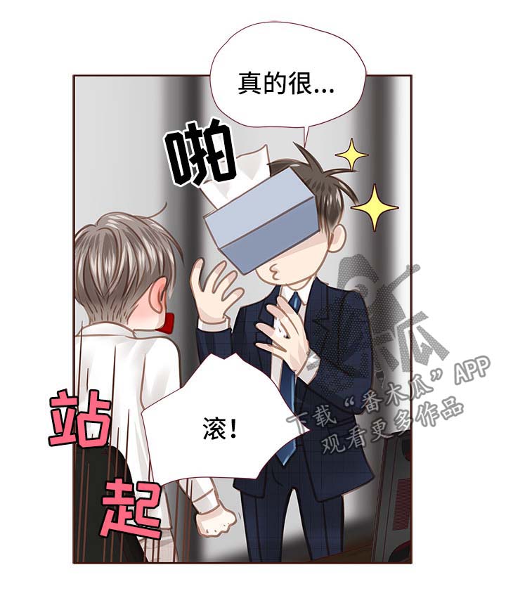 第35章：办公室19