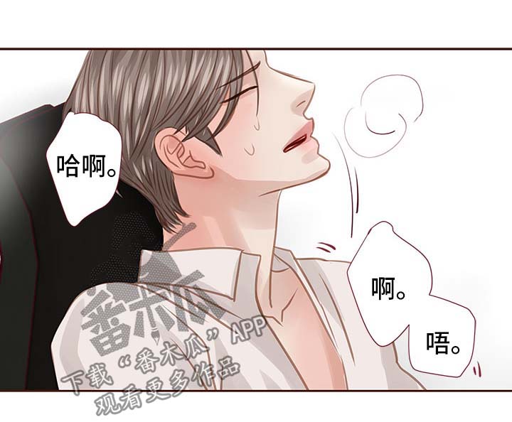 第35章：办公室13