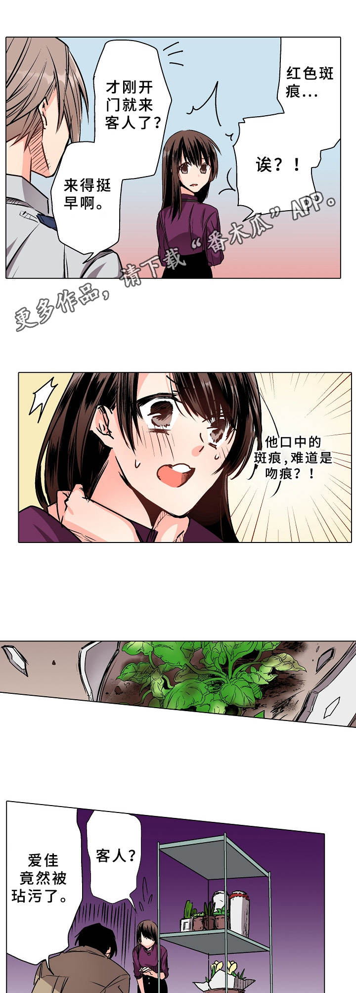 第8章：替代品10