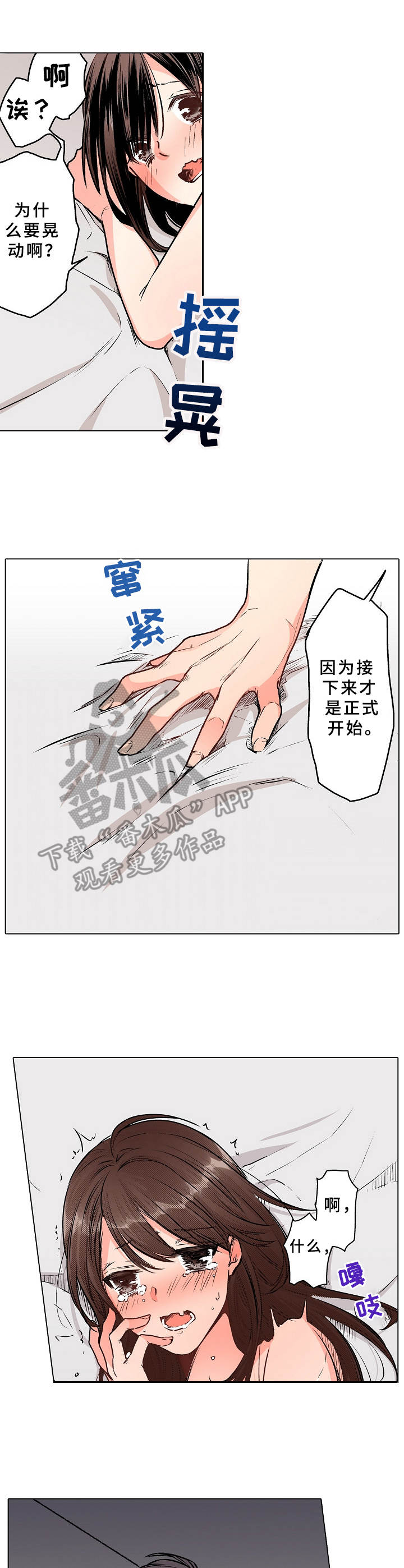 第8章：替代品4