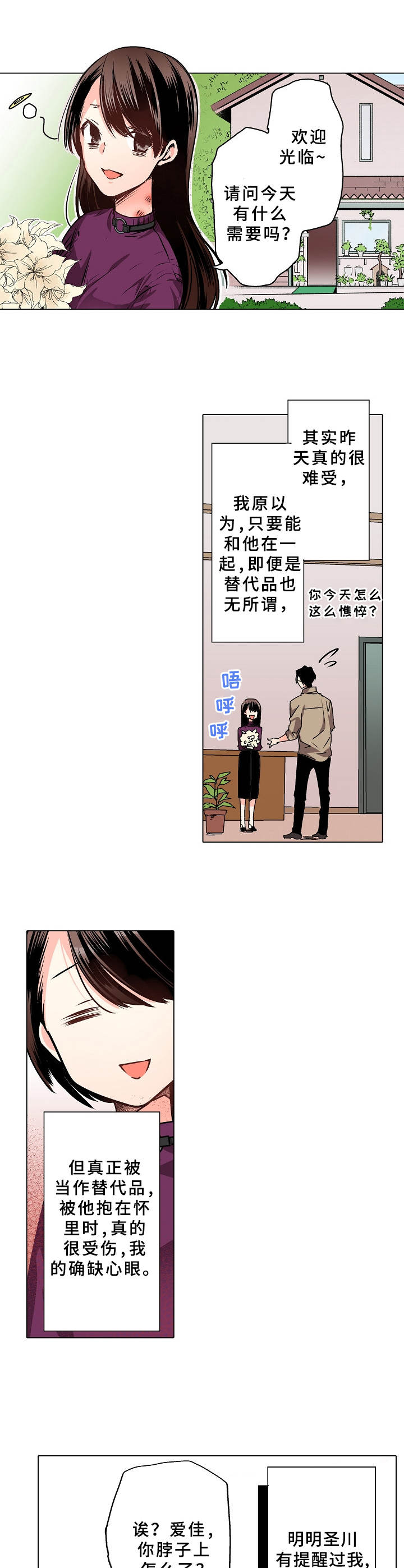 第8章：替代品8